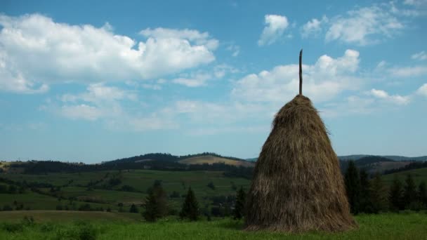 Nubes y pajar en el campo verde — Vídeos de Stock