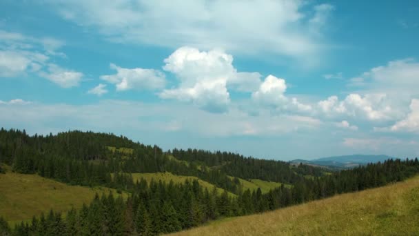 Montagnes vertes avec des conifères 