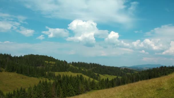 Montañas verdes con árboles de coníferas — Vídeos de Stock