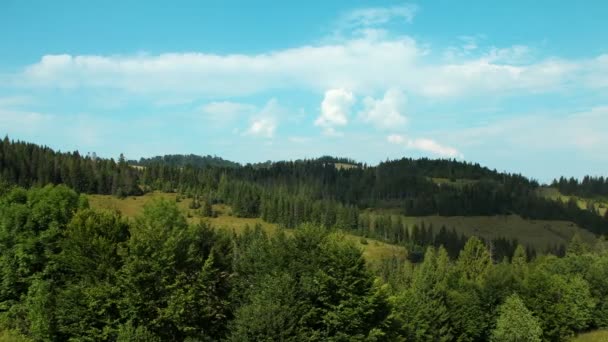Montañas verdes con árboles de coníferas — Vídeo de stock