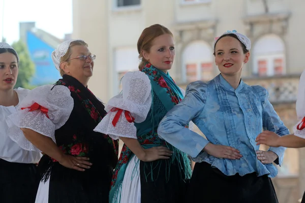 Miembros de los grupos populares Veseli Medimurci de Croacia durante el 48º Festival Internacional de Folclore en Zagreb — Foto de Stock