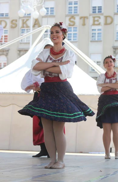 民俗グループ セルカーク、マニトバ州、カナダからザグレブで 48 国際民俗祭りの期間中のウクライナのダンス アンサンブル troyanda — ストック写真