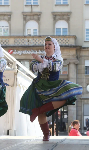 Selkirk, manitoba, Kanada Ukrayna dance ensemble troyanda Zagreb 48 Uluslararası Folklor Festivali sırasında halk grubu — Stok fotoğraf