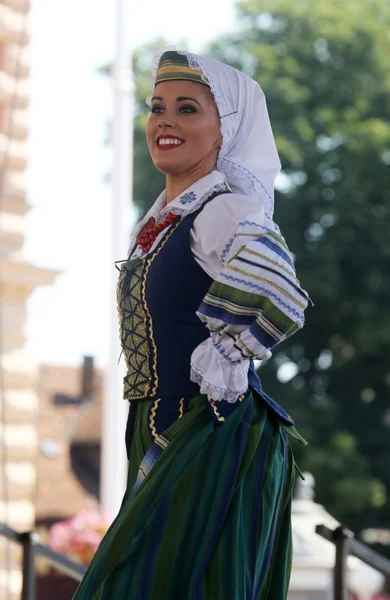 Folk group Selkirk, Manitoba, Ukrainian Dance Ensemble Troyanda desde Canadá durante el 48º Festival Internacional de Folclore en Zagreb —  Fotos de Stock