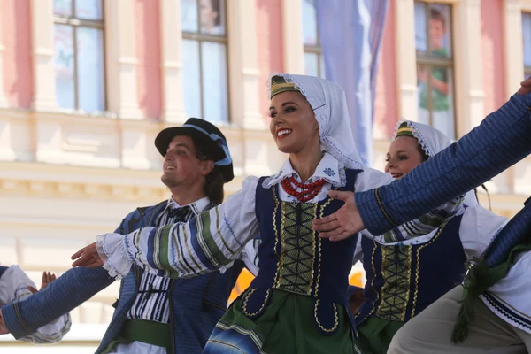 Folk group Selkirk, Manitoba, Ukrainian Dance Ensemble Troyanda desde Canadá durante el 48º Festival Internacional de Folclore en Zagreb — Foto de Stock