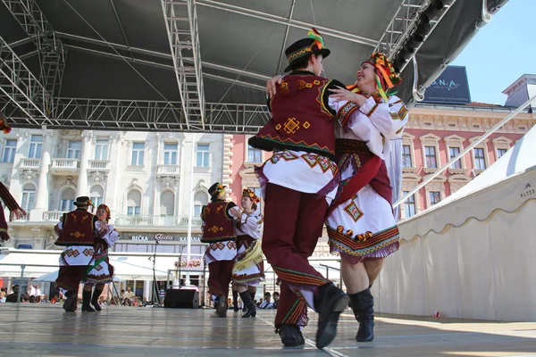 Membres du groupe folklorique Selkirk, Manitoba, Ukrainian Dance Ensemble Troyanda du Canada lors du 48e Festival international du folklore à Zagreb — Photo