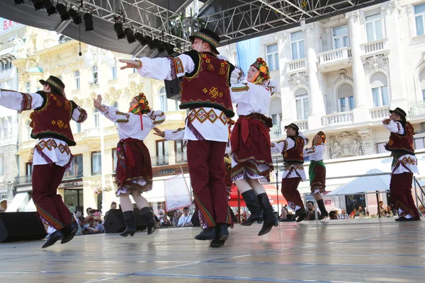 Nép, tagok csoport selkirk, manitoba, ukrán tánc együttes troyanda Kanadából alatt Zágráb 48 nemzetközi folklór fesztivál — Stock Fotó