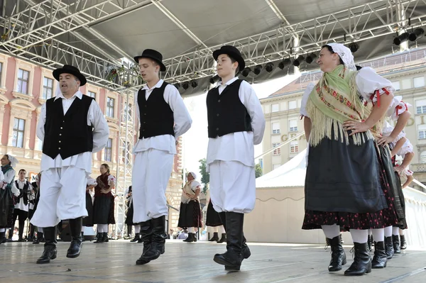 Członków Ludowej grupy sloga selacka z nedelisce, Chorwacji podczas 48 Festiwal Folklorystyczny w Zagrzebiu — Zdjęcie stockowe