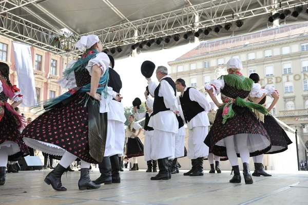 Medlemmar av folk grupp selacka sloga från nedelisce, Kroatien under 48 internationell folklore festival i zagreb — Stockfoto