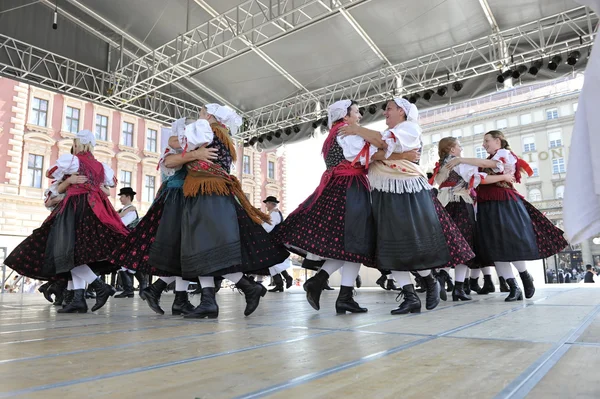 Mitglieder der Folkloregruppe selacka sloga aus Nedelisce, Kroatien während des 48. Internationalen Folklorefestivals in Zagreb — Stockfoto