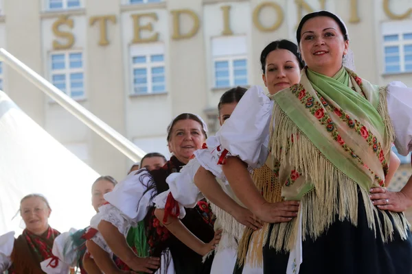 Grup üyeleri halk selacka sloga nedelisce, Hırvatistan Zagreb 48 Uluslararası Folklor Festivali sırasında gelen — Stok fotoğraf