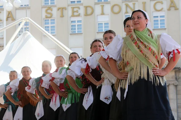 Członków Ludowej grupy sloga selacka z nedelisce, Chorwacji podczas 48 Festiwal Folklorystyczny w Zagrzebiu — Zdjęcie stockowe