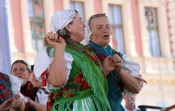 Miembros del grupo folclórico Selacka Sloga de Nedelisce, Croacia durante el 48º Festival Internacional de Folclore en Zagreb — Foto de Stock