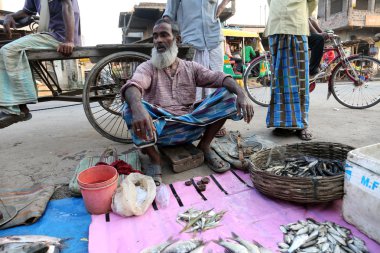 Kimliği belirsiz Kumrokhali, Batı Bengal, Hindistan balık pazarında balık satıyor