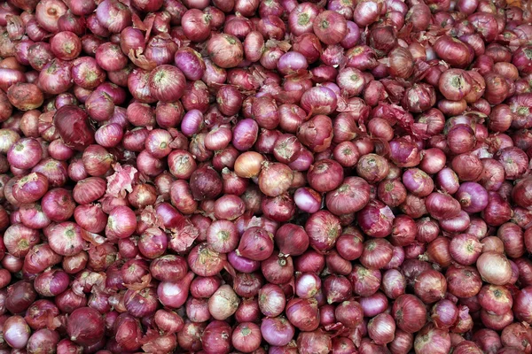 Frische Zwiebeln — Stockfoto