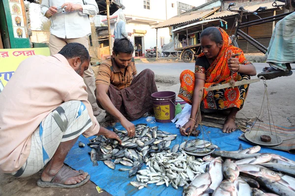Uomo non identificato vende pesce al mercato del pesce in Kumrokhali, West Bengal, India — Foto Stock