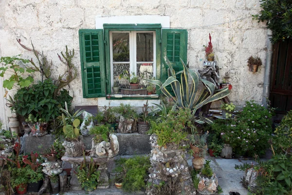 Středomořská dům se zelenými dveřmi a květiny — Stock fotografie