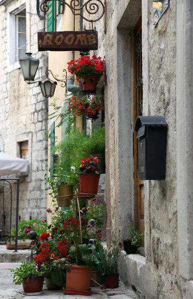 Maison méditerranéenne avec des fleurs à Kotor, Monténégro — Photo