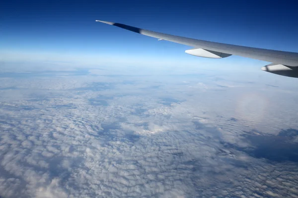 Wing of airplane — Stock Photo, Image