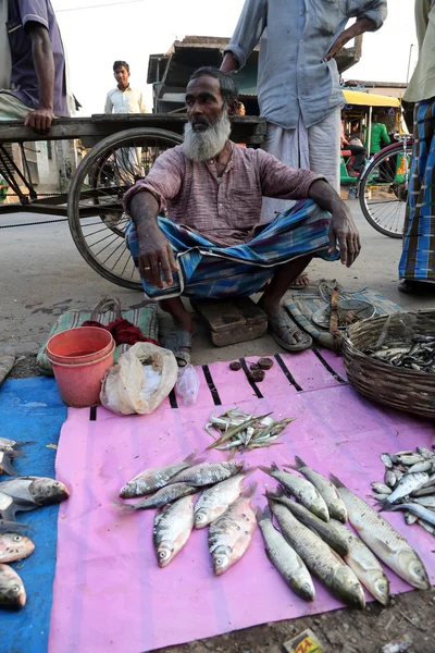 Ongeïdentificeerde man verkoopt vis op de vismarkt in Kumrokhali, West-Bengalen, India — Stockfoto