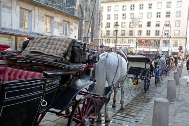 Stephansplatz Viyana'geleneksel eski moda fiacres. Stephansplatz kentin en popüler meydanım. Viyana, Avusturya