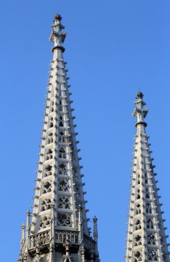 Votiv Kirche Viyana, Avusturya
