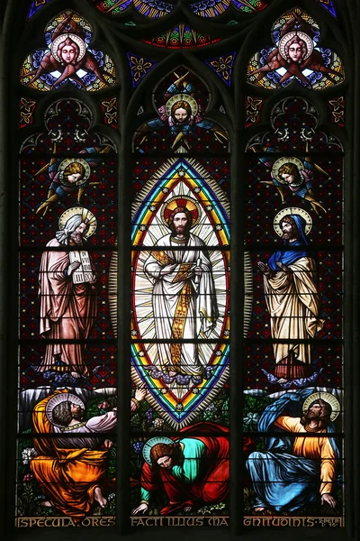 Transfiguraatio Tabor-vuorella, Lasimaalaus Votiv Kirchessä Wienissä — kuvapankkivalokuva