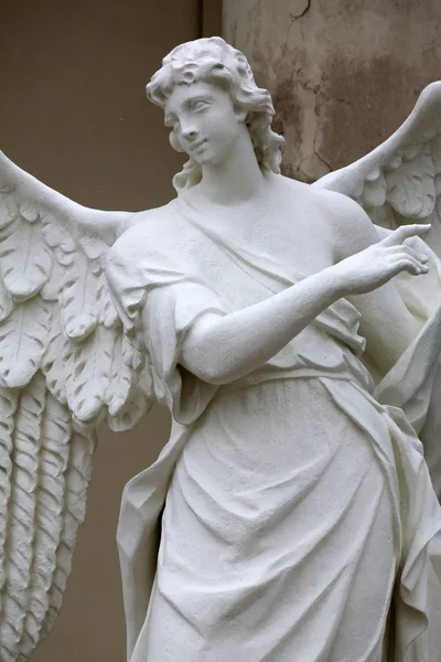 Angel statue in front of Karlskirche church in Vienna — Stock Photo, Image