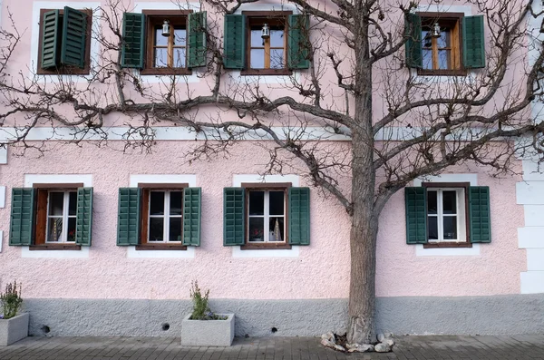 Copacul crește lângă casă — Fotografie, imagine de stoc