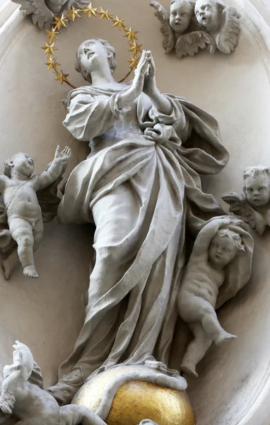 Vierge Marie — Photo