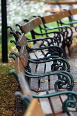 Viyana içinde genel bir parkta eski banklar