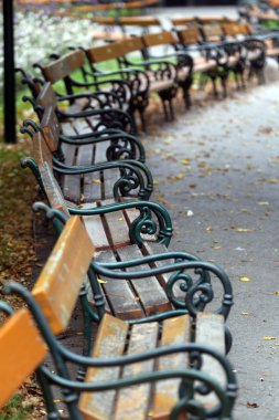 Viyana içinde genel bir parkta eski banklar