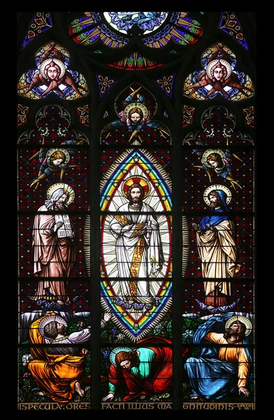 Verklärung auf Berg Tabor, Glasmalerei in der Votivkirche. es ist eine neugotische kirche in wien — Stockfoto