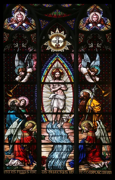 Baptism of the Christ, Stained glass in Votiv Kirche (The Votive Church). It is a neo-Gothic church in Vienna