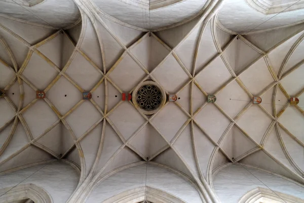 Graz Graz, Styria, Avusturya Saint Giles adanmış katedral tavan — Stok fotoğraf