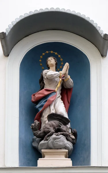 Vierge Marie — Photo