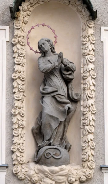 Vierge Marie — Photo