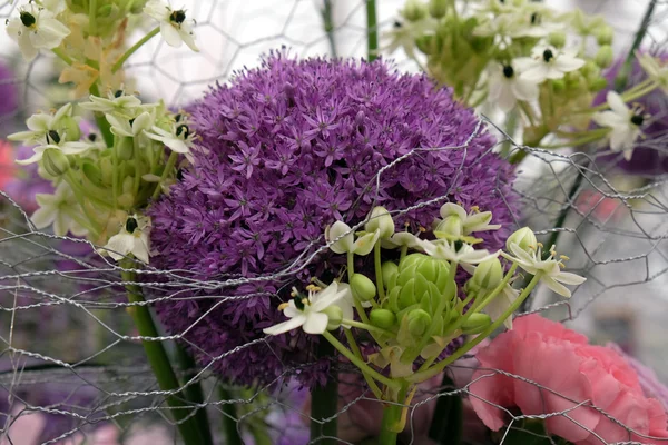 Bloemen Blootgesteld Aan Floraart Internationale Tuin Tentoonstelling Zagreb Kroatië — Stockfoto