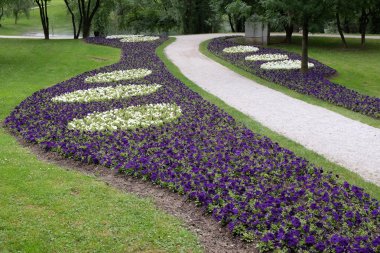 ZAGREB, CROATIA - MAY 27: Flowers exposed on Floraart, 50 international garden exhibition in Zagreb, Croatia, on May 27, 2015.wers