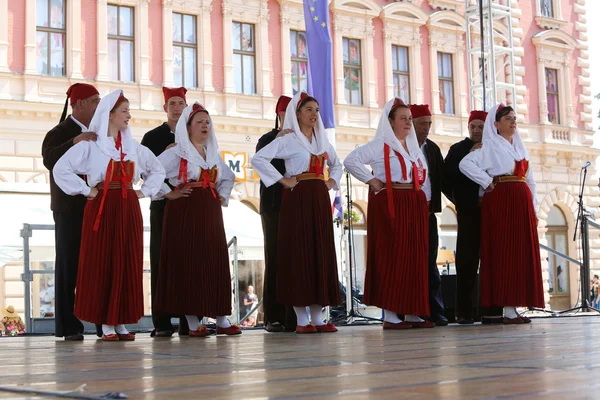 Membres du groupe folklorique Natko Nodilo de Babino Polje, Croatie — Photo