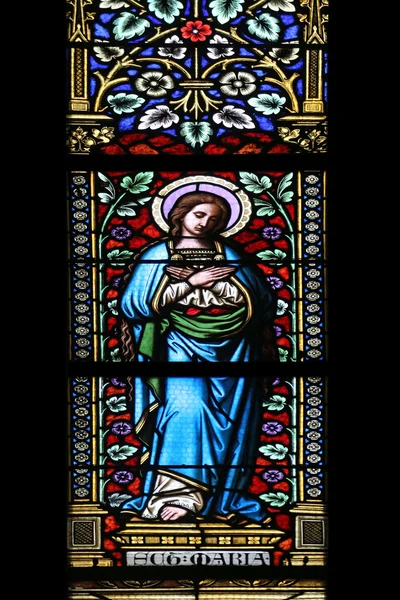 Preasfânta Fecioară Maria — Fotografie, imagine de stoc
