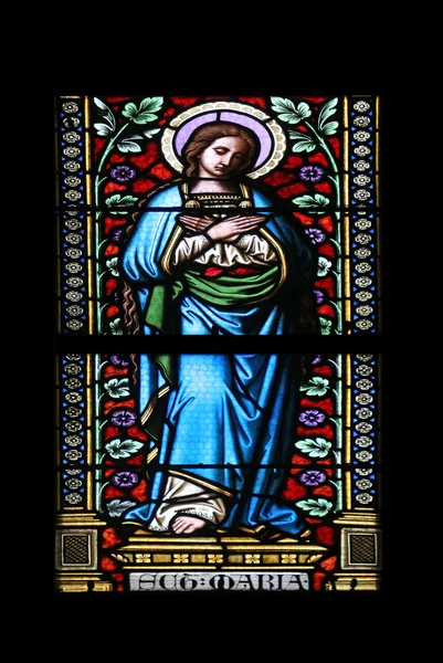 Preasfânta Fecioară Maria — Fotografie, imagine de stoc