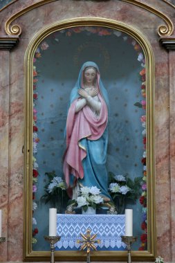 Hırvatistan 'ın Vizinada kentindeki Aziz Jerome kilisesinde Meryem Ana' nın sunağı