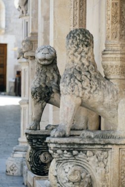 Yan kapı Sibenik Katedrali yanında aslan heykeli