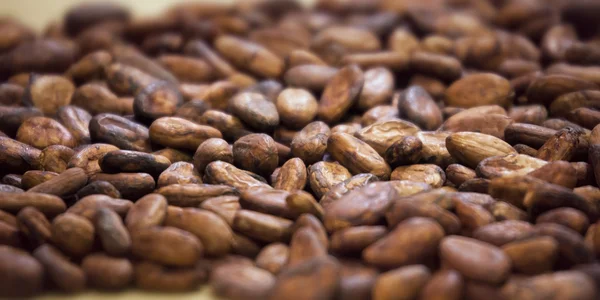 Fondo de granos de cacao aromáticos — Foto de Stock