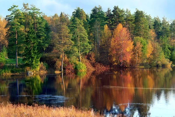 Podzimní krajina s řekou a lesem. — Stock fotografie