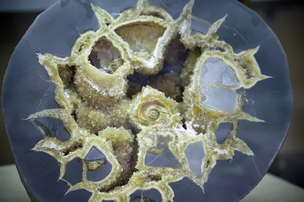 Septarian Zhutnění Krystaly Kalcitu Lamelární Barytu Ammonite Dřez Centru — Stock fotografie