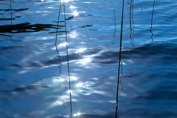 Su arka plan ışık güneş yamalar ve reed SAP — Stok fotoğraf