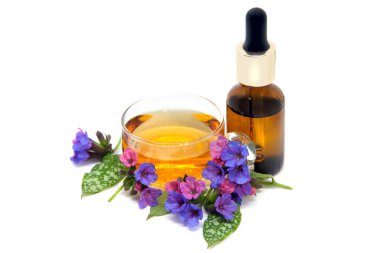Akciğer otu çiçekleri (Pulmonaria officinalis) bir fincanda bitki çayı, özlü bir şişe ve beyaz arka planda çiçekler.