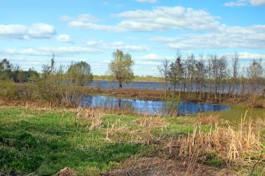 Bahar manzara nehir ve mavi gökyüzü ile
